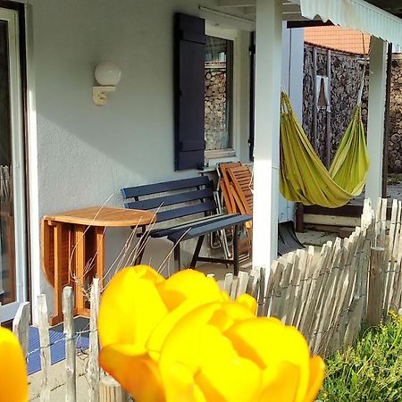 Ferienwohnung Schuhmacherwerkstatt Wilhelm Wendel Lossburg Ngoại thất bức ảnh